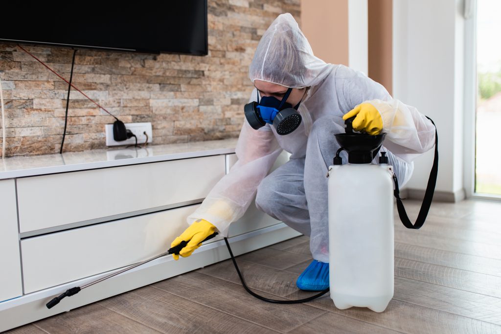 Exterminator in work wear spraying pesticide with sprayer.